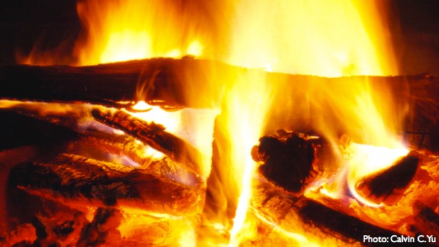 netfish-20110114-passiton-640